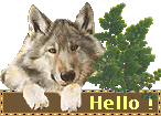 wolf saying Hello!